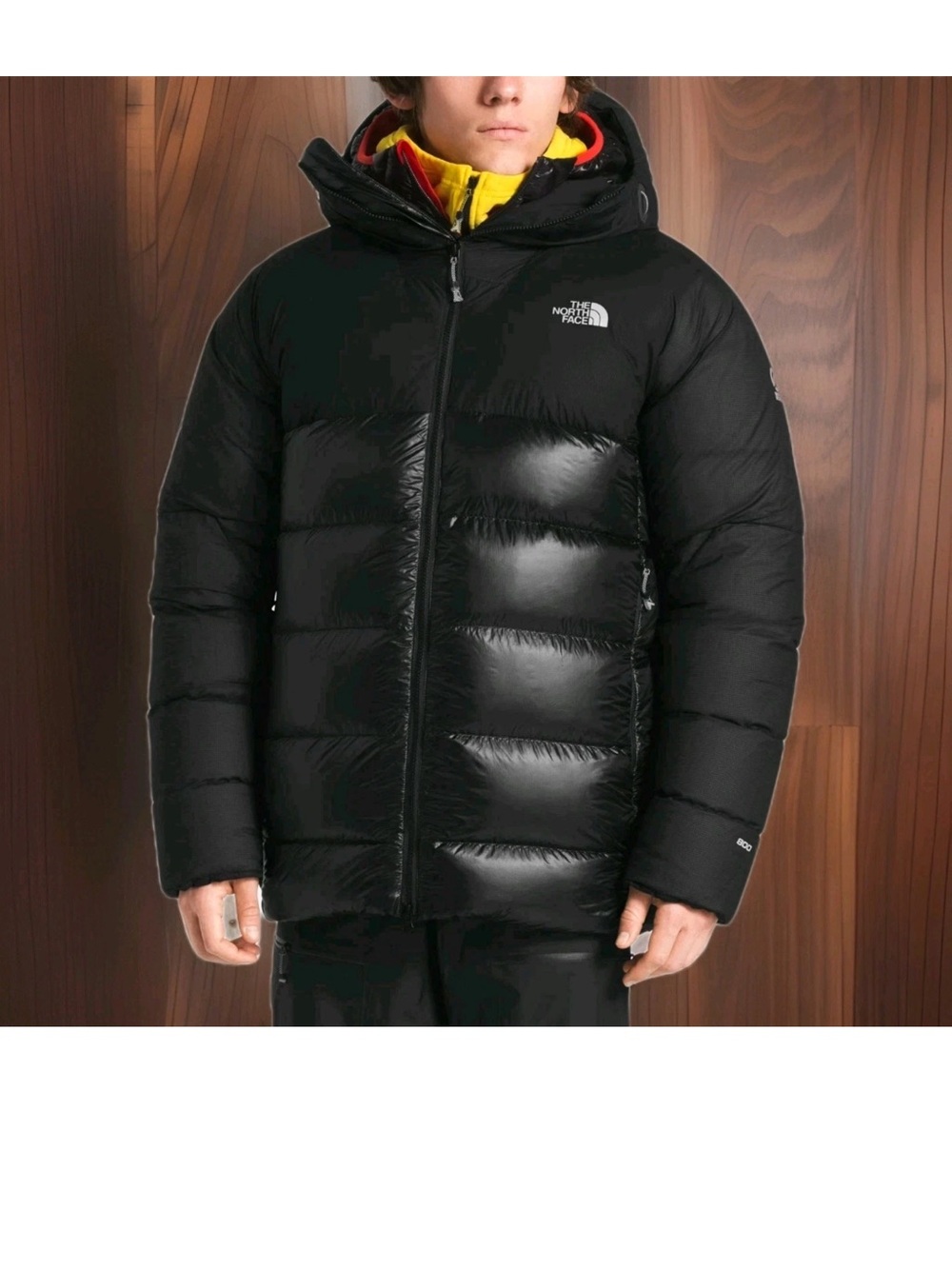 NORTH FACE SUMMIT SERIES L-6 800 PRO BELAY DOWN JACKET EXCELLENT CONDITION